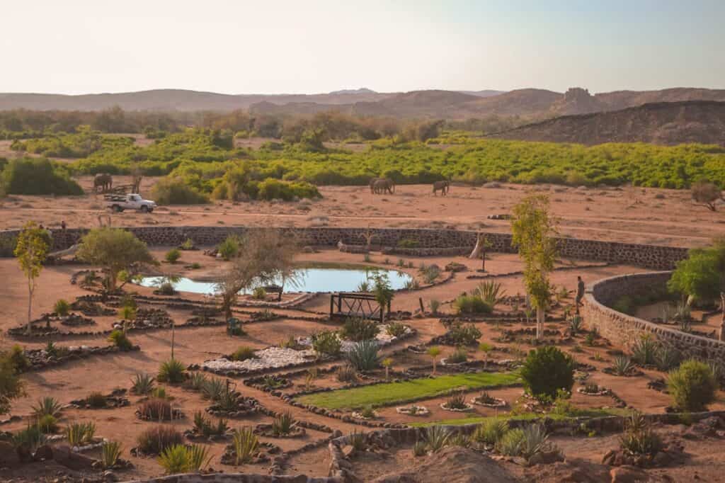 Photo by Amar Hussain: https://www.pexels.com/photo/safari-sanctuary-on-a-desert-9951457/