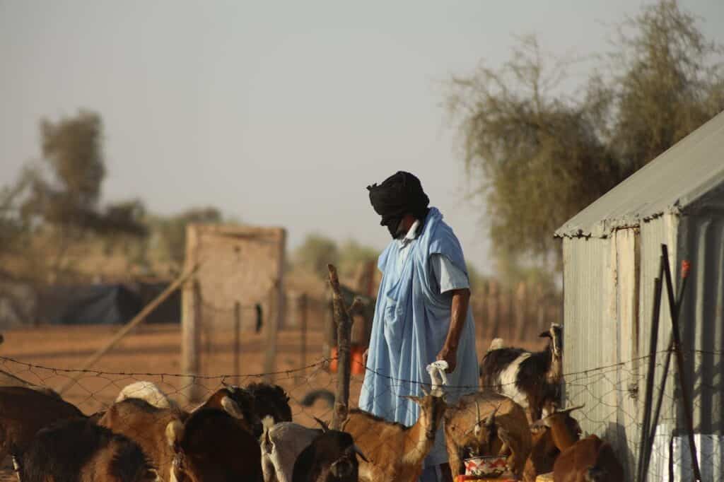 Photo by m0us3b .1 : https://www.pexels.com/photo/african-farmer-with-goats-in-rural-landscape-30099223/