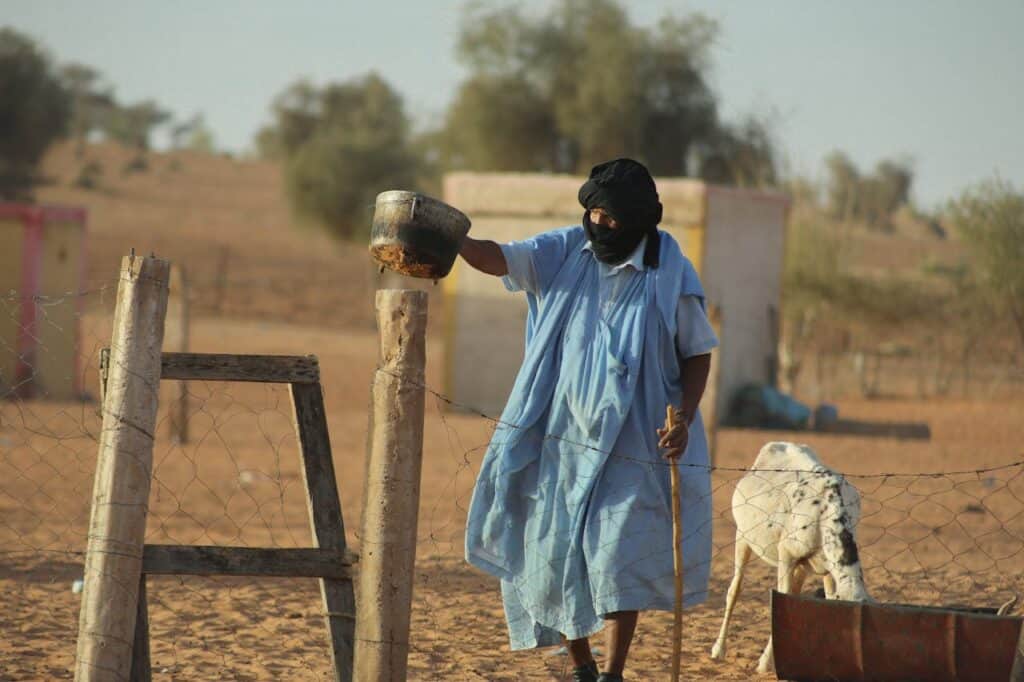 Photo by m0us3b .1 : https://www.pexels.com/photo/shepherd-tending-sheep-in-mauritania-desert-30099224/